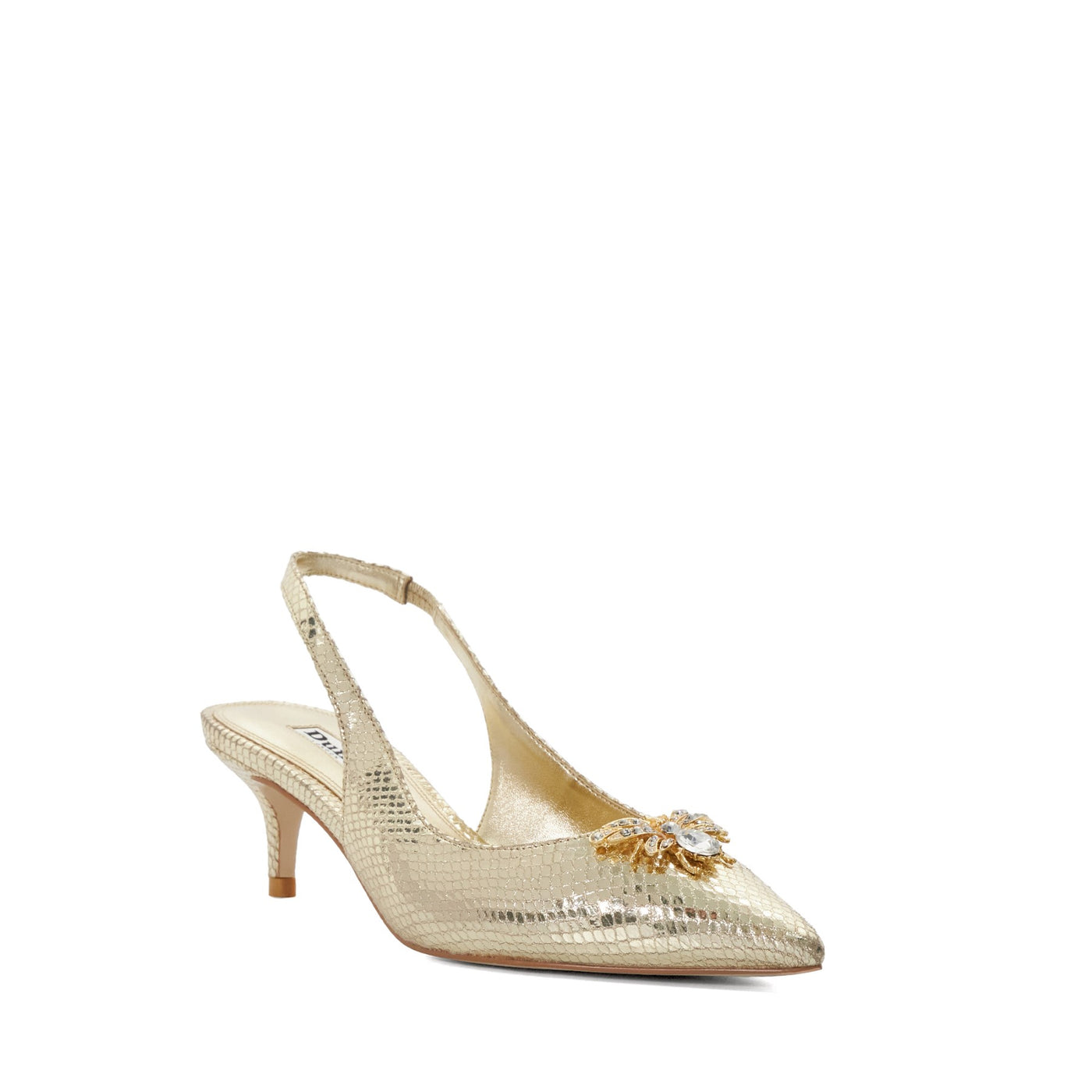 CINCIA - GOLD