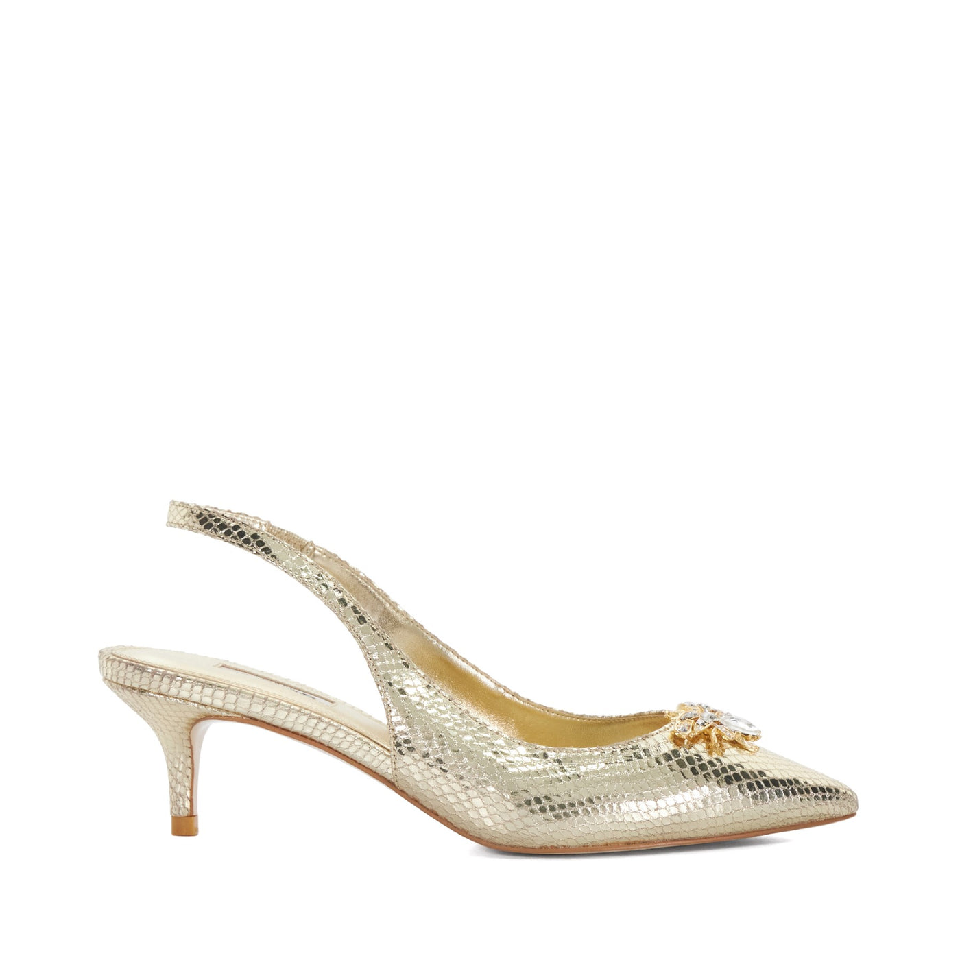 CINCIA - GOLD