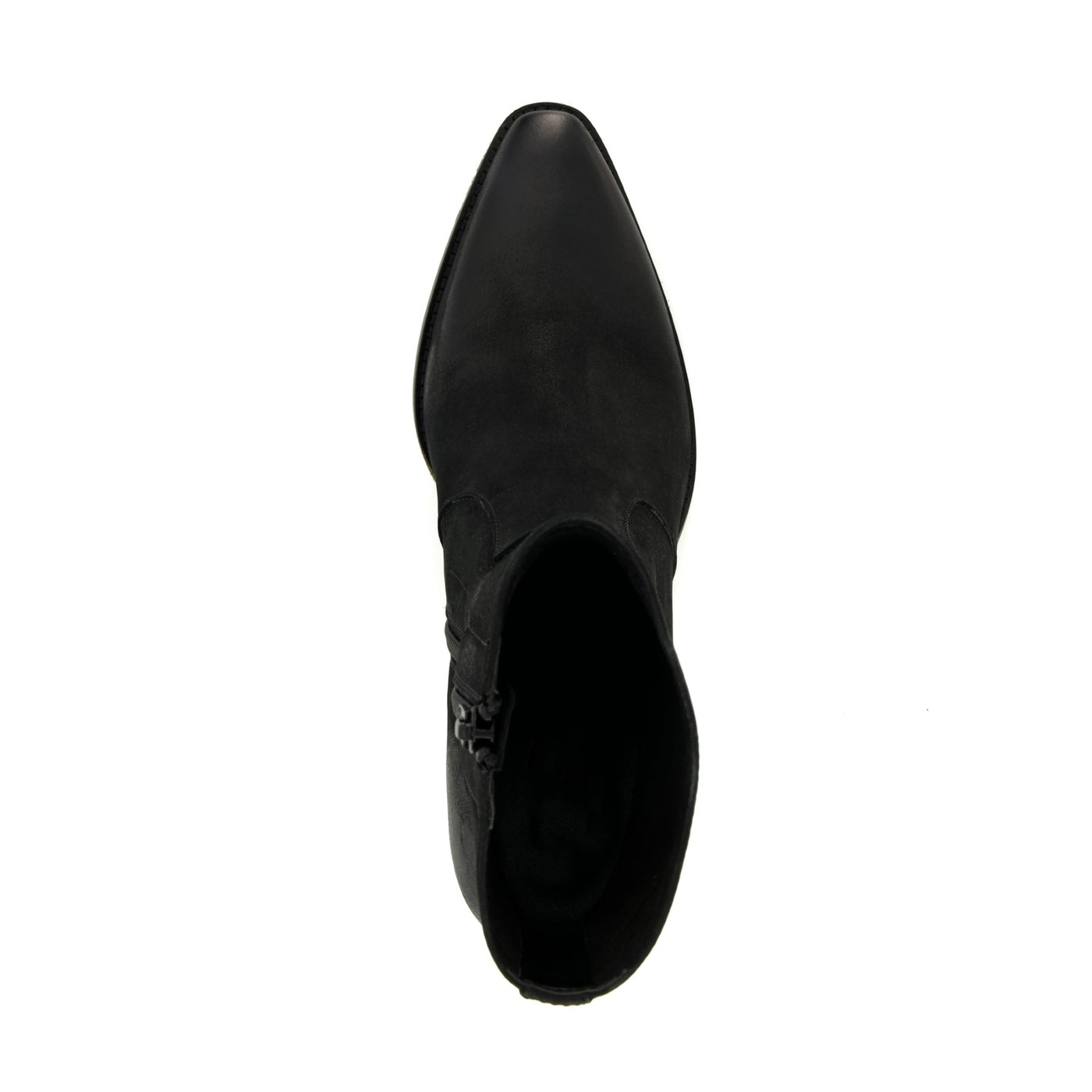 PASTERN - BLACK